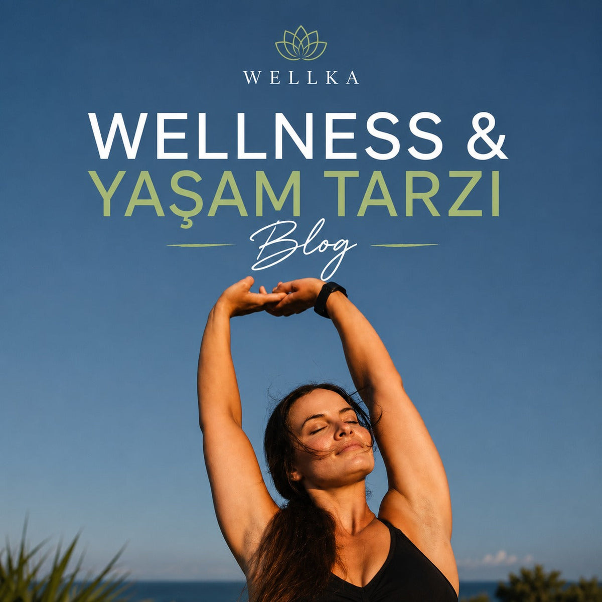 WELLNESS & YAŞAM TARZI