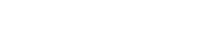 Wellka Dev Logo