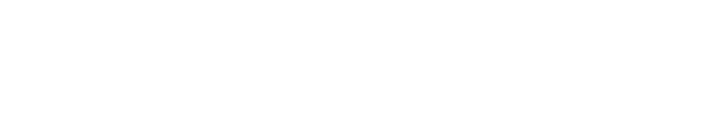 Wellka Dev Logo